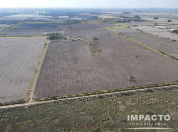 Campo · 131ha · Campo Agrícola 130 Hectáreas en Marcos Paz