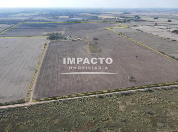 Campo · 131ha · Campo Agrícola 130 Hectáreas en Marcos Paz