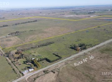 Campo · 455ha · 2 Dormitorios · En Venta Campo Ganadero 455 Has en Magdalena, Buenos Aires