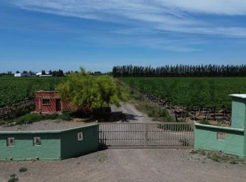 Bodega-Galpón · 1600m² · 2 Ambientes · 10 Cocheras · Bodega en Venta Lavalle Mendoza