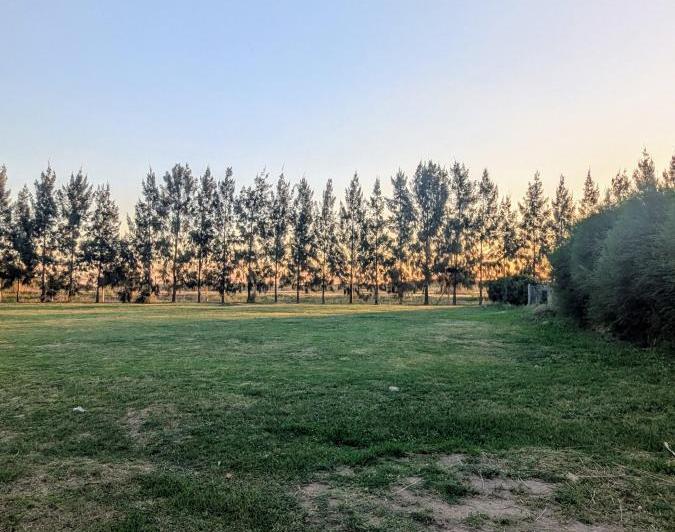Terreno · 1000m²
