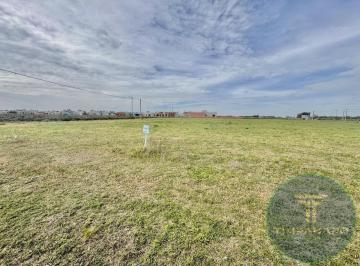 Terreno · 300m² · Lote en Venta en Saladillo – 288 m² con Todos Los Servicios | Financiación