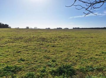 Campo , Mar Chiquita · Latorre Prop. Vende 41 Ha en Zona Mar Chiquita