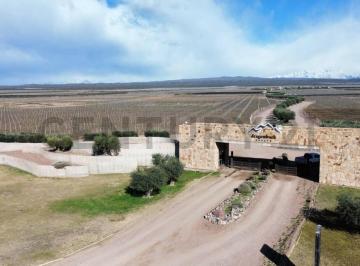 Bodega-Galpón · 3100m² · 1 Ambiente · 1 Cochera · Venta Bodega Agrelo Lujan de Cuyo Mendoza