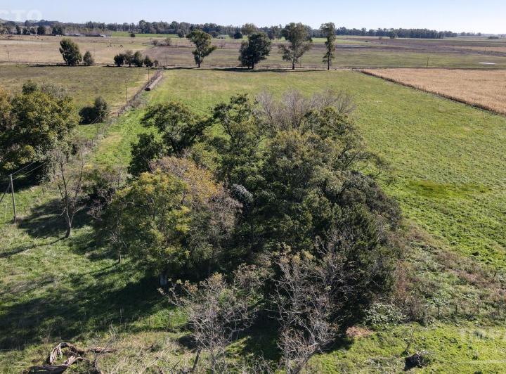 Campo · 76000ha