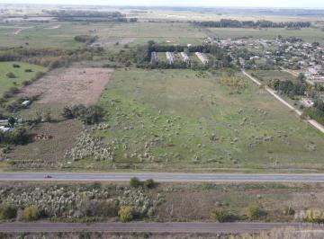 Campo · 53000ha · En Venta Chacra 5,3 Hectáreas en Cañuelas