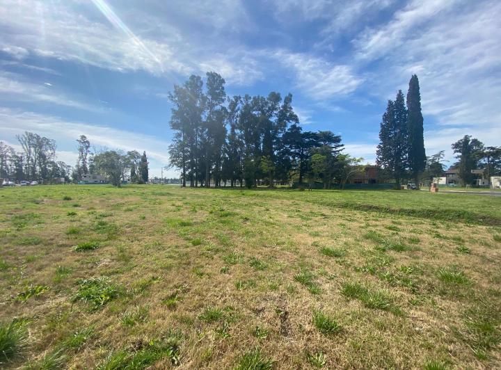 Terreno · 520m²