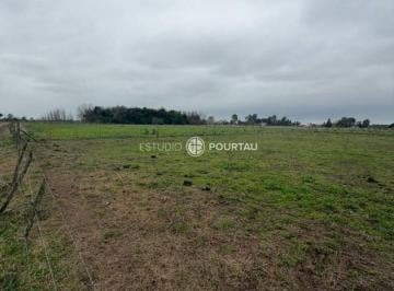 EPU-EPU-64_2 · Lote. | Campo Abierto