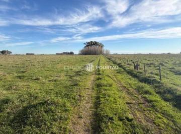 EPU-EPU-65_2 · Campo Hectáreas |. | Campo Abierto