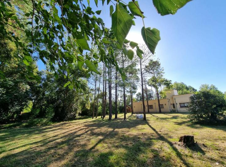 Terreno · 973m²