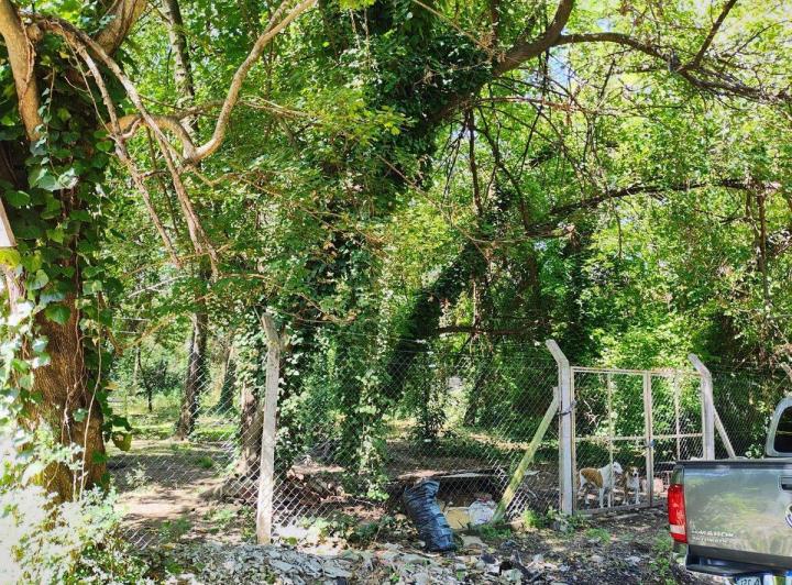 Terreno · 964m²