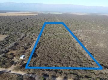 Campo · 12ha · Venta de 12 Ha en Conlara en Traslasierra!