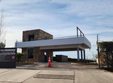 Terreno , Vistalba · Terreno en Venta en Vistalba