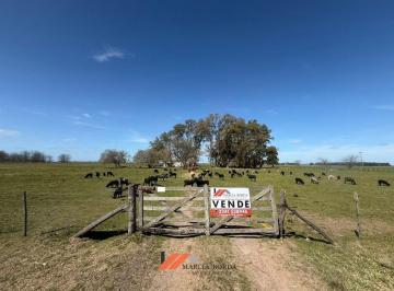MBO-MBO-494_2 · Campo en Venta en Ranchos