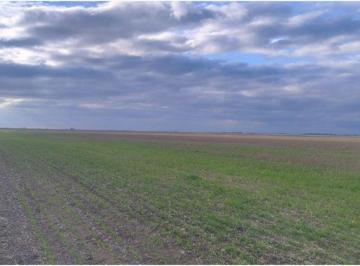 Campo , San Cayetano · Campo Agrícola - Ganadero de 644 Ha en San Cayetano | Excelente Ubicación y Máquina Incluida