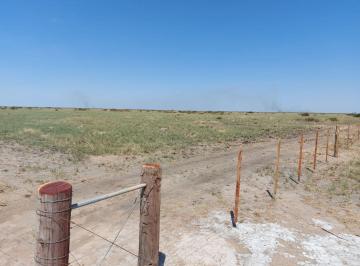 Campo · 294ha · Venta Campo 294 Has La Rinconada Rio Seco Cordoba