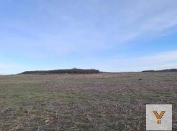 Campo · 9400000m² · 3 Ambientes · Campo en Venta - 940 Hectáreas - San Luis