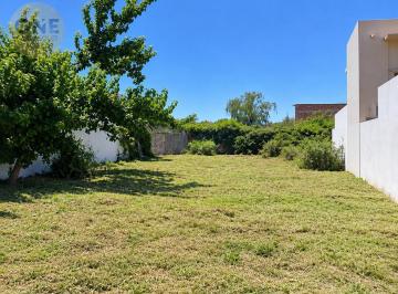 Terreno · 292m² · Lote en Venta - Calle 5 y 505, Gonnet