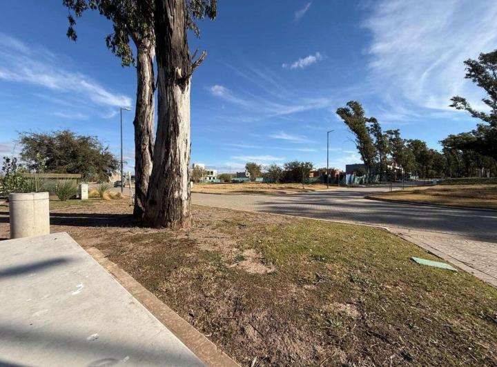 Terreno · 380m²