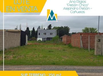 Terreno · 250m² · Petion Chico - Ana Riglos