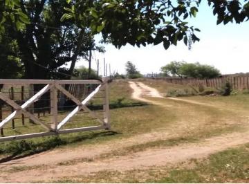 Campo · 200m² · 3 Ambientes · 200 Has Ideal Para Desarrollo Hortícola a 40 Min. de Caba - Financiación - Permutas