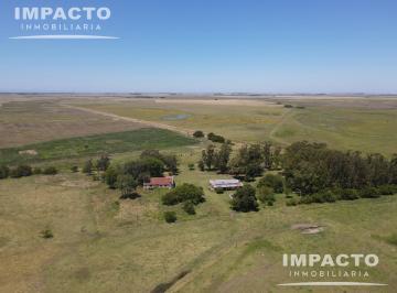 Campo · 546ha · En Venta Campo Ganadero 546 Hectáreas en General Lavalle