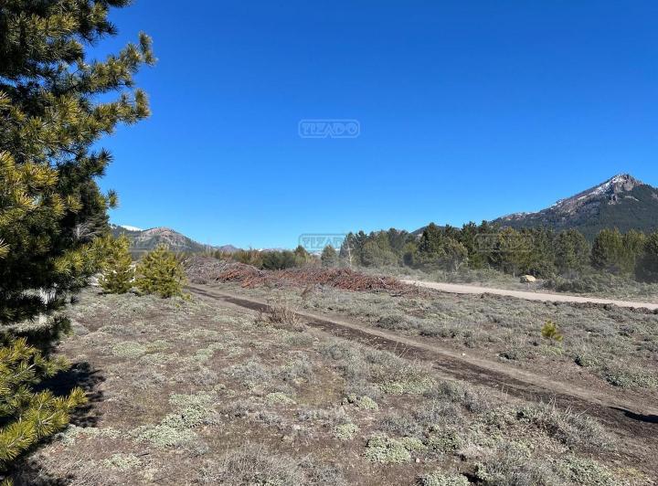 Terreno · 1000m²