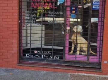 Local comercial · 24m² · Local en Alquiler en Olivos, Vicente López, G. B. a. Zona Norte