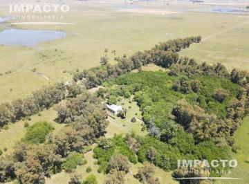 Campo · 338ha · En Venta Campo Ganadero 338 Hectáreas en Navarro, Buenos Aires