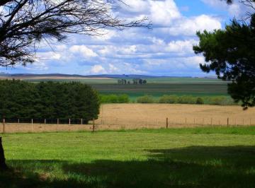 Campo , Balcarce · Campo Mixto de 670 Ha en Balcarce (Napaleofú) | 74% Agrícola con Aptitud Papera