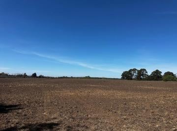 Campo · 184744m² · 1 Ambiente · Campo en Venta 18 Ha San Andres de Giles