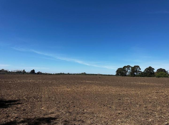 Campo · 184744m² · 1 Ambiente