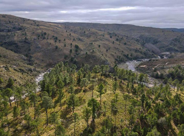 Terreno · 140m² · 1 Ambiente