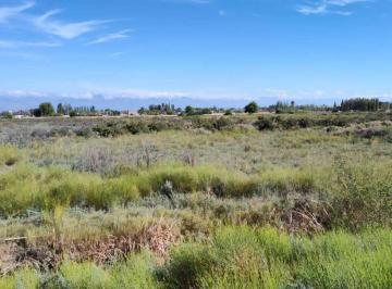 Campo · 80000ha · Venta de Excelente Finca 8.1 Has en Los Corralitos, Guaymallén - Mza.
