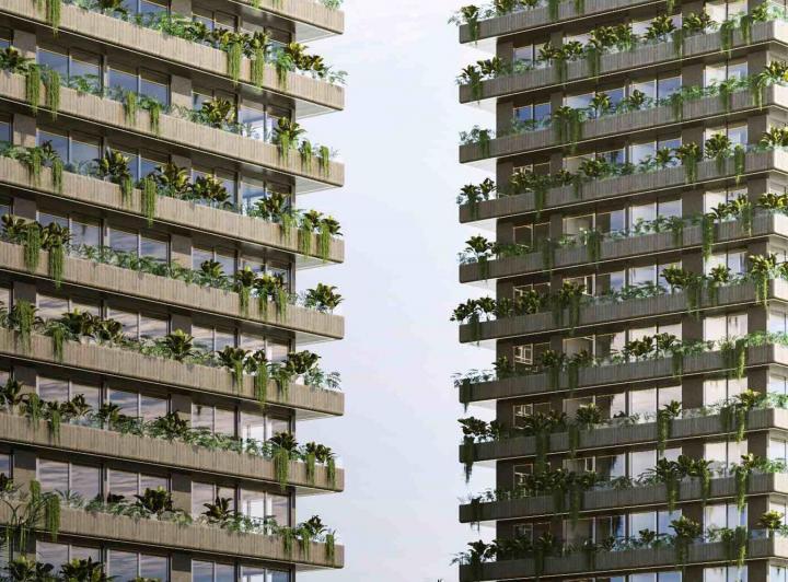Desarrollo vertical