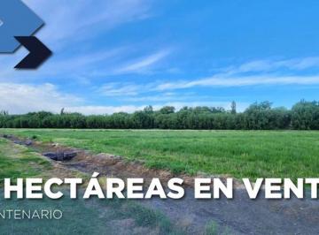 Campo · 5ha · Chacra en Venta de 5 Ha, Servicios.