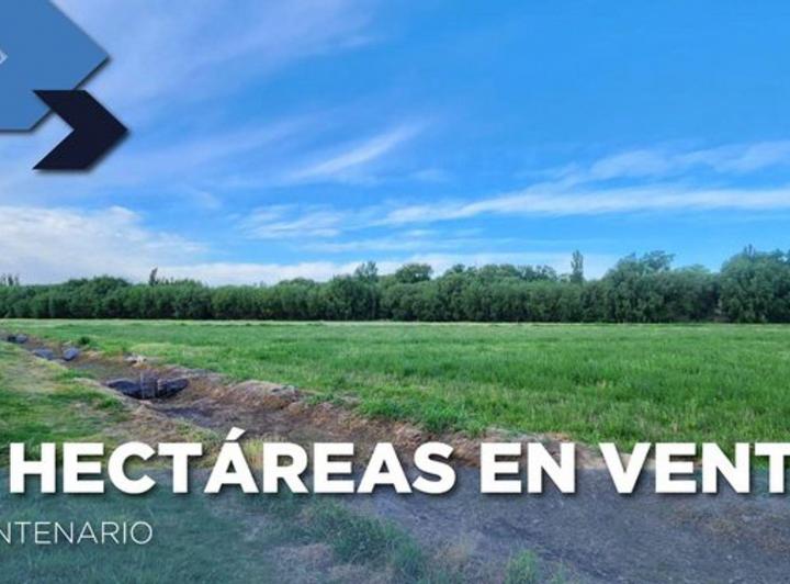 Campo · 5ha