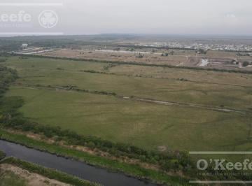 Campo · 126ha · Tierra Para Desarrollo en Venta de 126 Has en Berazategui