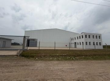 Bodega-Galpón · 3900m² · Alquiler de Nave de 4000 m² en Carlos Spegazzini con Playa de Maniobras de 3.800 m²