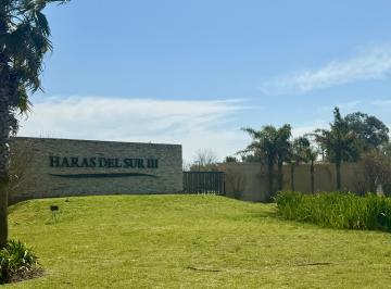 Terreno , Brandsen · Lote en Venta