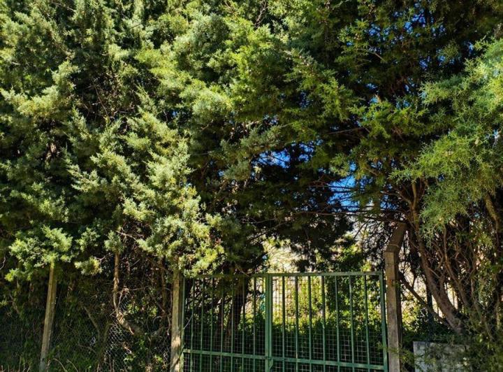 Terreno · 250m²