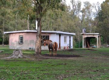 Terreno · 10000m² · Lote en Chascomús Venta 1 Ha Casa a Reciclar