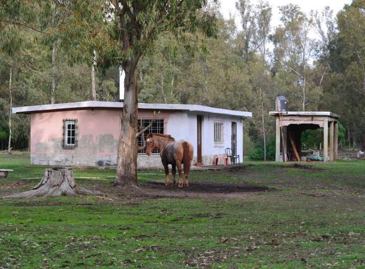 Terreno · 10000m²