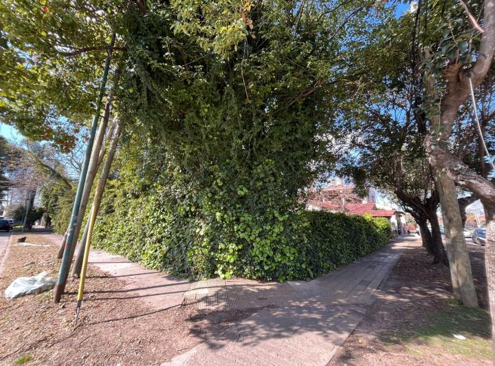 Terreno · 199m²