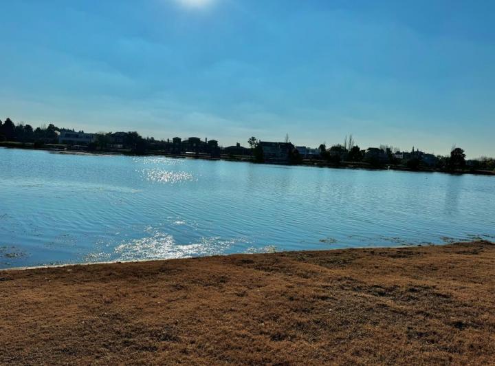 Terreno · 1000m²