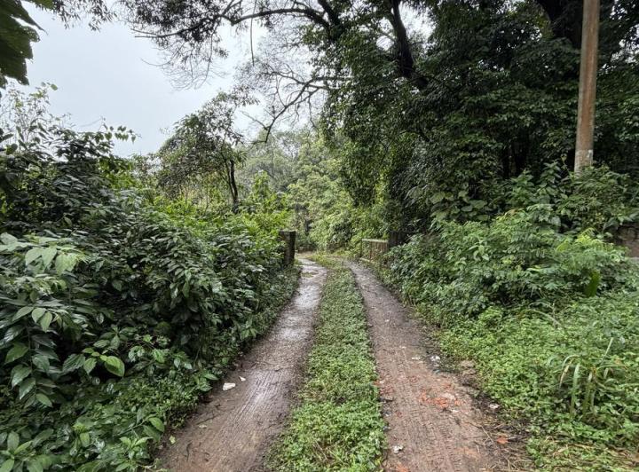 Terreno · 5000m²