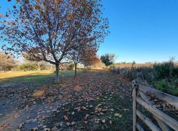 Campo · 220000ha · 5 Ambientes · Chacra en Zárate: Casa Principal, de Huéspedes y Encargado, Alquiler X Temporada Buenos Aires
