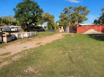 Terreno · 3749m² · Venta de Terreno en Colón con Depósitos y Casa