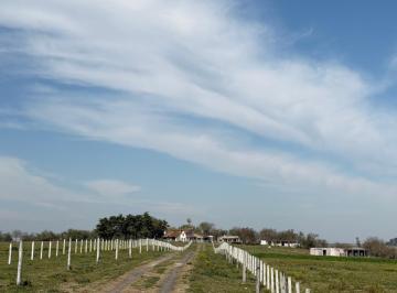 Campo · 17ha · 8 Ambientes · Campo en Alsina