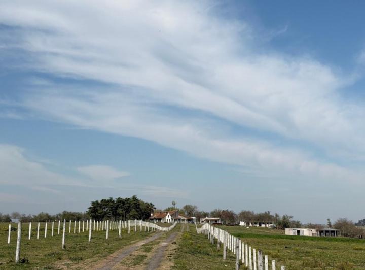 Campo · 17ha · 8 Ambientes